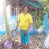 โครงการถังขยะเปียกลดโลกร้อน